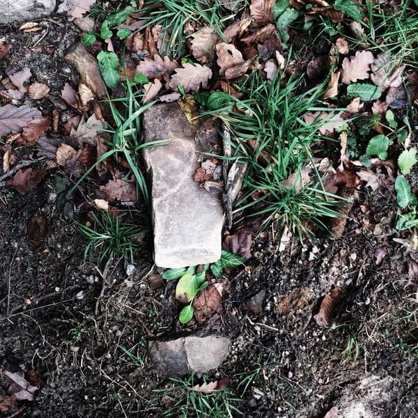 Partnership & 12-Month Guarantee